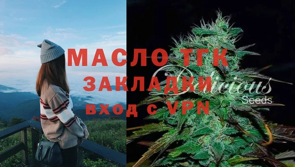 2c-b Козельск