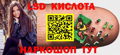 стаф Берёзовский