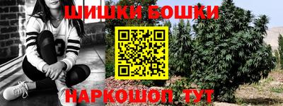 стаф Берёзовский