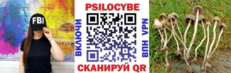 Псилоцибиновые грибы мицелий  площадка Telegram  Лиски  блэк спрут ONION 