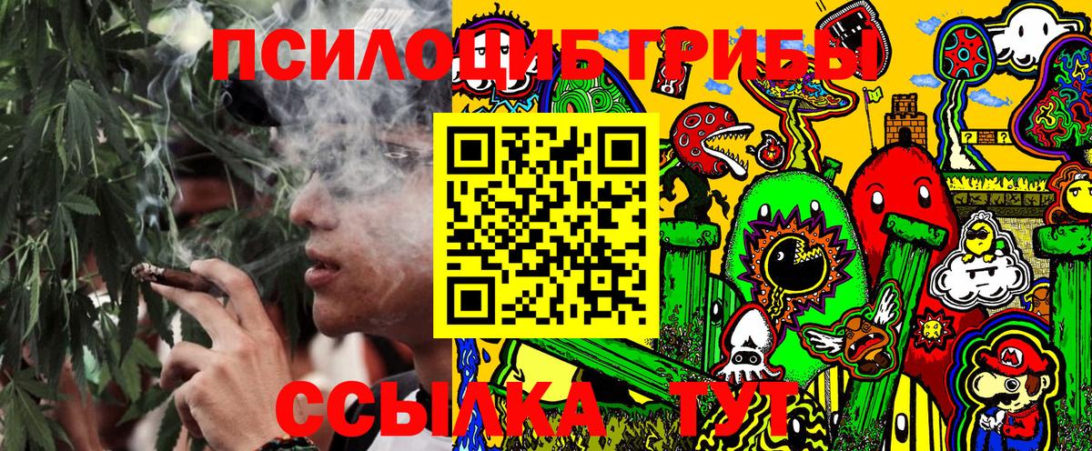 Лиски  Галлюциногенные грибы Psilocybine cubensis  Вход с VPN 